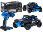 Žaislinis ralio automobilis Rc Racing Rally, 2,4 GHZ