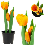Dirbtinės tulpės vazonėlyje, oranžinės