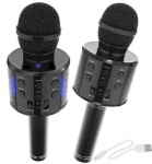 Karaoke mikrofonas Goodbuy