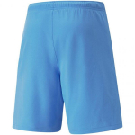 &Scaron;ortai vyrams Puma TeamRise Short Team M 704942 18, mėlyni