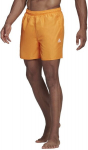 Maudymosi &scaron;ortai vyrams Adidas HA0375