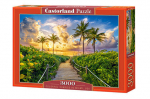 Dėlionė Castorland Puzzle Colorful Sunrise in Miami,USA 3000 d.