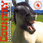 CD - Country Mūzikas Izlase 3