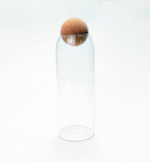 Indas su kam&scaron;čiu, 1,3L