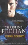 Dark Storm: Number 23 in series
