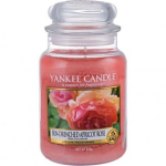 Kvapioji žvakė Yankee Candle Sun-Drenched Apricot Rosei 623 g