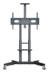 TV laikiklis TV SET ACC MOBILE STAND/32-75"/GRAPHITE TS1571-G ONKRON TS1571-G (4262392443391)