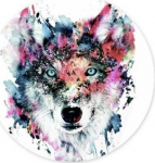 Telefono laikiklis PopSockets 800394