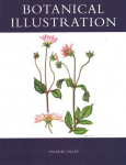 Botanical Illustration