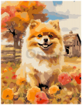Pie&scaron;imo rinkinys Pomeranijos &scaron;picai, 30x40cm