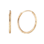 Auksiniai auskarai Brasco 58506