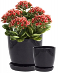 Keraminis vazonas su pagrindu juodas 18 cm, 18 cm