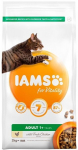Iams su vi&scaron;tiena, 2 kg
