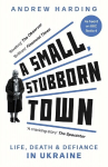 Small, Stubborn Town: Life, death and defiance in Ukraine