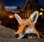 Wildlife Photographer of the Year 26 Hardback, Portfolio 26