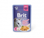 Brit Premium Delicate Fillets In Jelly su vi&scaron;tiena, 85 g