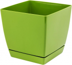 Prosper Plast Dukp135-370u 13.5 x 13.5 x 12.4 cm Coubi gėlių vazonas - alyvuogių
