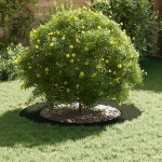 Keraminis vazonas Alyvuogių žalias Keramika Didelis Vazonai