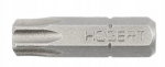 Torx T40 antgalis 25mm, 1 vnt.