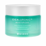 Veido kremas Mizon Facial Cream Cicaluronic, 120 ml