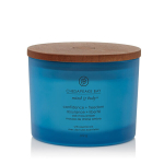 Yankee Candle žvakė Chesapeake Bay PASITIKĖJIMAS ir LAISVĖ (ĄŽUOLO SAMANŲ AMBER), 312 g