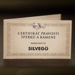 Sidabriniai auskarai moterims Silvego SILVEGOB380095 sSL3503