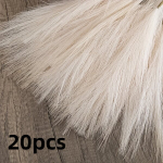 20 vnt. dirbtinė pampas žolė - dekorui, Smėlio spalvos - 20vnt