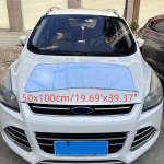 Mikropluo&scaron;to automobilio valymo &scaron;luostė, Mėlyna