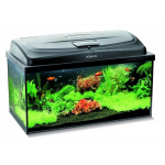 Akvariumas Aquael Classic Box 60/P D&N 54L, su įranga