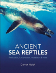 Ancient Sea Reptiles: Plesiosaurs, ichthyosaurs, mosasaurs and more, Ancient Sea Reptiles: Plesiosaurs, ichthyosaurs, mosasaurs and more