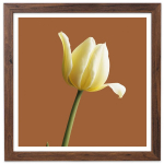 Rudas nuotraukų rėmelis 30x30 cm FRAMAI&reg;