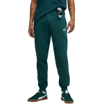 Vyri&scaron;kos kelnės Puma ESS no.1 Logo Sweatpants FL, žalios, 682607 75