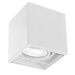 Luminex lubinis &scaron;viestuvas Downlight