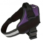 Atspindinti liemenė &scaron;unims, violetinės, XL