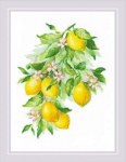 Siuvinėjimo kryželiu rinkinys Lemons 30x40 RIOL2054