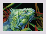 Siuvinėjimo kryželiu rinkinys "Iguana" 30x21 RIOL2192