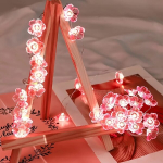 LED žiedų girlianda, 30 LED