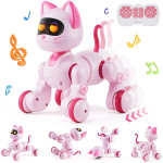 Interaktyvi Katė - Robotas su nuotoliniu valdymo pultu