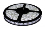 LED juosta 5m CW