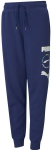 Sportinės kelnės berniukams Puma Alpha Sweatpants Blue, mėlynos