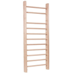 &Scaron;vedi&scaron;ka gimnastikos sienelė Insportline Steadyline, 230 x 90 cm