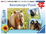 Ravensburger dėlionė Žirgai, 3 x 49 vnt.