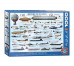 Dėlionė Eurographics, 6000-0086, History of Aviation, 1000 d.