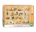 Dėlionė Eurographics, 6500-5354, Yoga is a Family Activity, 500 d.
