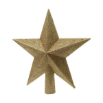 Kalėdinė žvaigždė