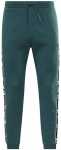 Sportinės kelnės vyrams Reebok Ri Tapd Jogger HJ7844, žalios