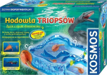 Triopų veisimas Piatnik