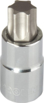 Antgalis Torx T30 1/4" Proline