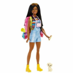Lėlė Barbie Brooklyn Camping