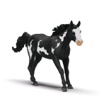 Figūrėlė Paintų veislės eržilas Schleich Horse Club